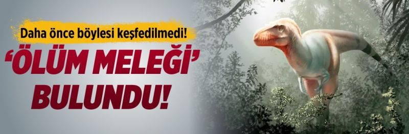 ‘Ölüm meleği’ bulundu! ‘Ölüm meleği’ bulundu!