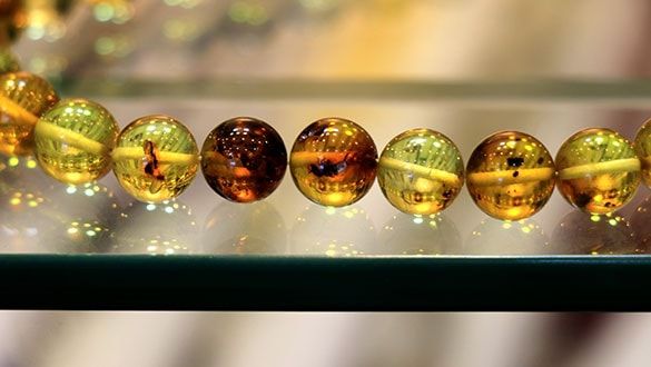 Hobi olarak başlamıştı! Bir gramı 300 dolar