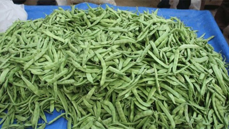 Aralık ayının zam şampiyonu ?