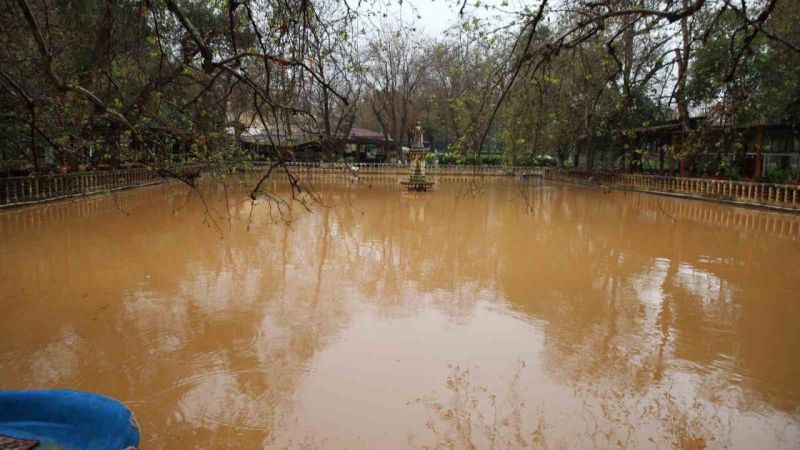 Selin vurduğu Balıklıgöl çamurla kaplandı