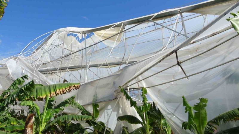 Antalya'da hortum muz serasını vurdu, 5 dönümlük alan savaş meydanını aratmadı