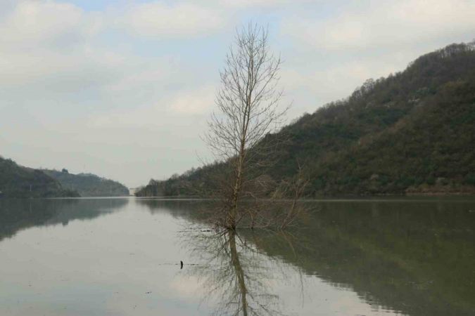 Yuvacık Barajı yüzde 95 doldu, kapaklar açıldı