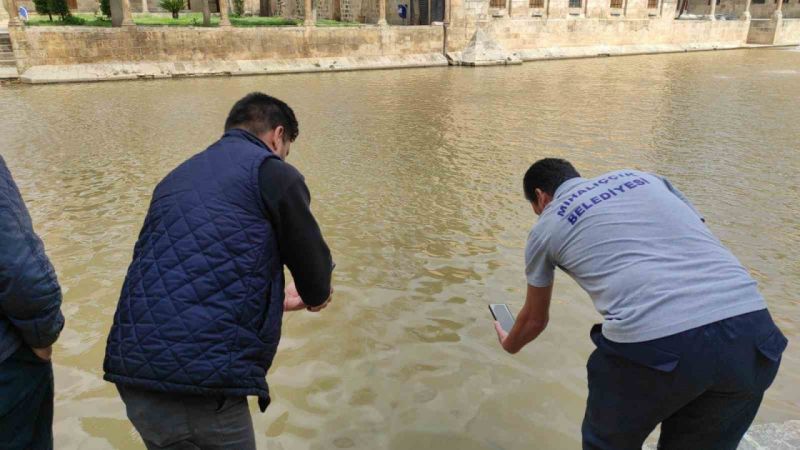 Balıklıgöl’ün suyu berraklaşıyor Balıklıgöl’ün suyu berraklaşıyor