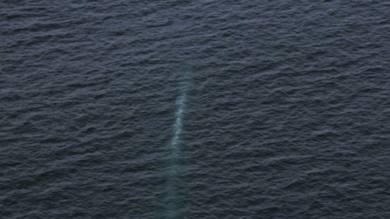 Kuzey Kore insansız su altı nükleer saldırı aracını test etti