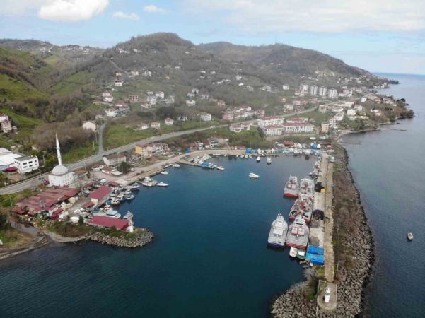 Hamsi ve istavrit olmayınca balıkçılar sezonu erken kapattı