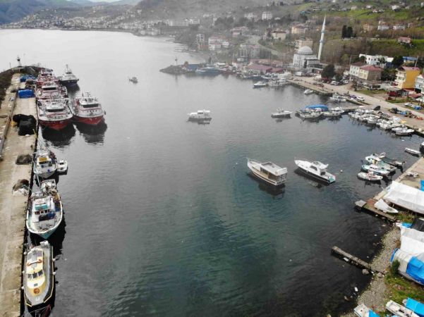 Hamsi ve istavrit olmayınca balıkçılar sezonu erken kapattı