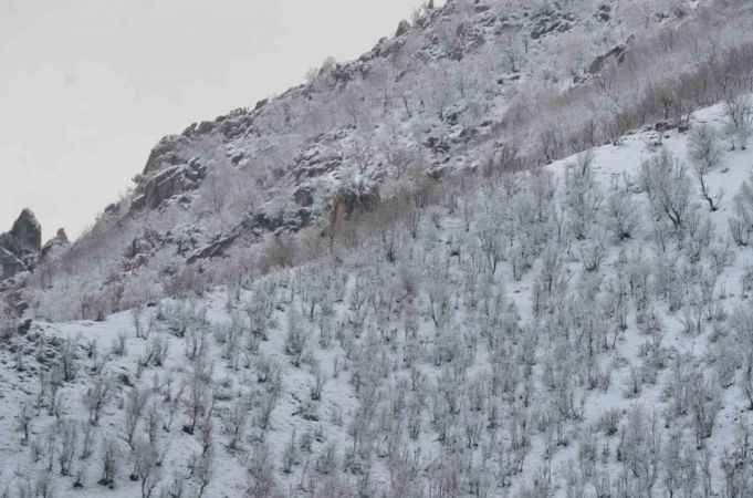 Şırnak Nisan ayında beyaza büründü, meşe ormanları beyazlar içinde kayboldu