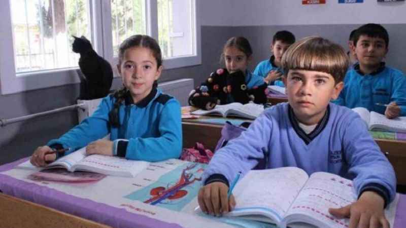 İzmir'in Patili Okulu İzmir'in Patili Okulu