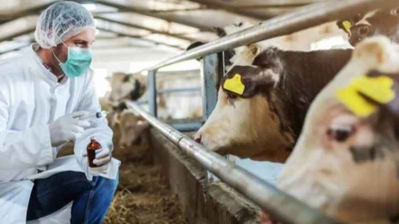 Solunum ve temas yoluyla insanlara bulaşıyor...