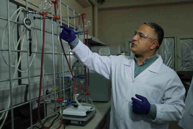 Deniz marulları enerji kaynağına dönüştü