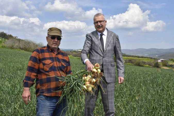 Soğan fiyatları bayramdan hemen sonra düşecek