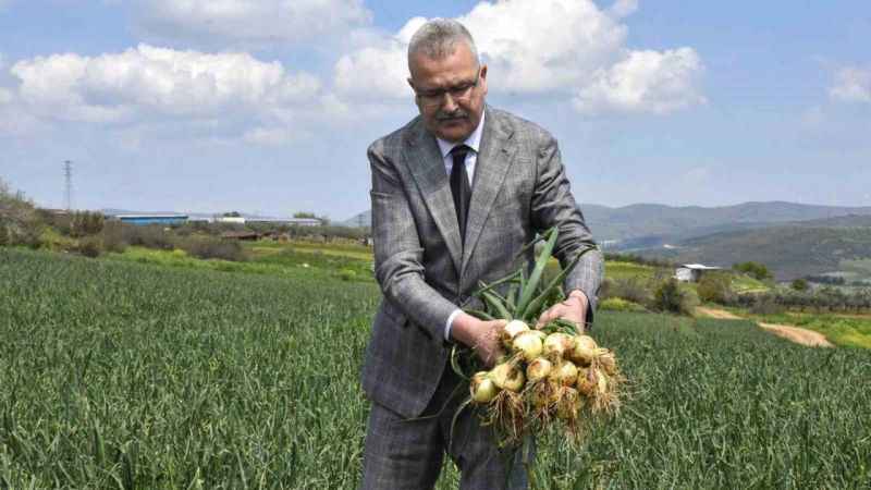 Soğan fiyatları bayramdan hemen sonra düşecek