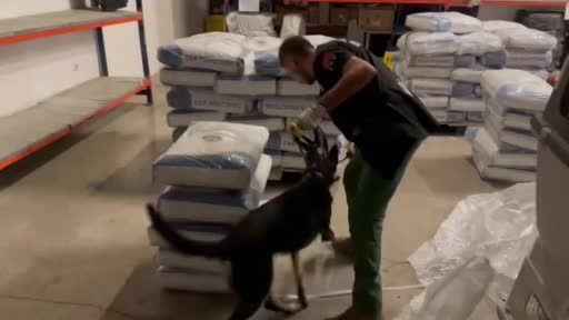 Bakan Yerlikaya duyurdu: Esendere Gümrük sahasında 153 kilogram eroin ele geçirildi