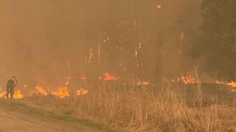 13 gün süren orman yangınlarında onlarca kişi hayatını kaybetti