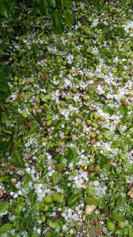 Malatya’da fırtına: Ceviz büyüklüğünde dolu yağdı