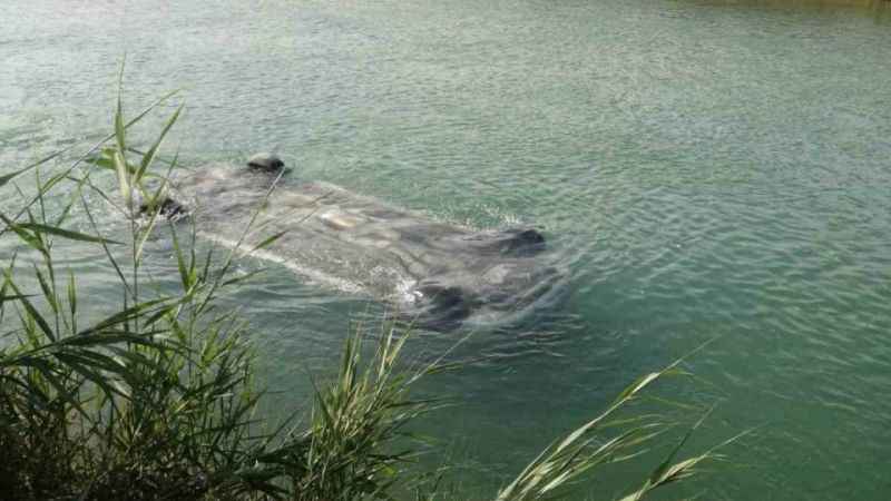 Adana'da sulama kanalına düşen otomobilden 3 erkek cesedi çıktı