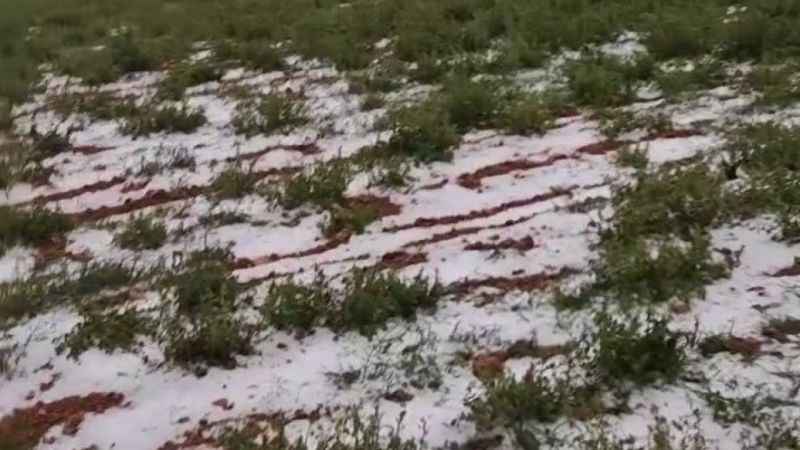 Denizli'de dolu yağışı üzüm bağlarını vurdu