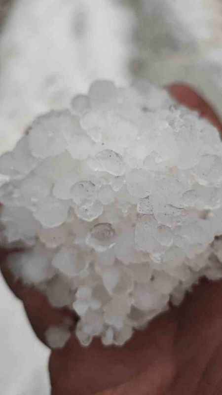 Denizli'de dolu yağışı üzüm bağlarını vurdu