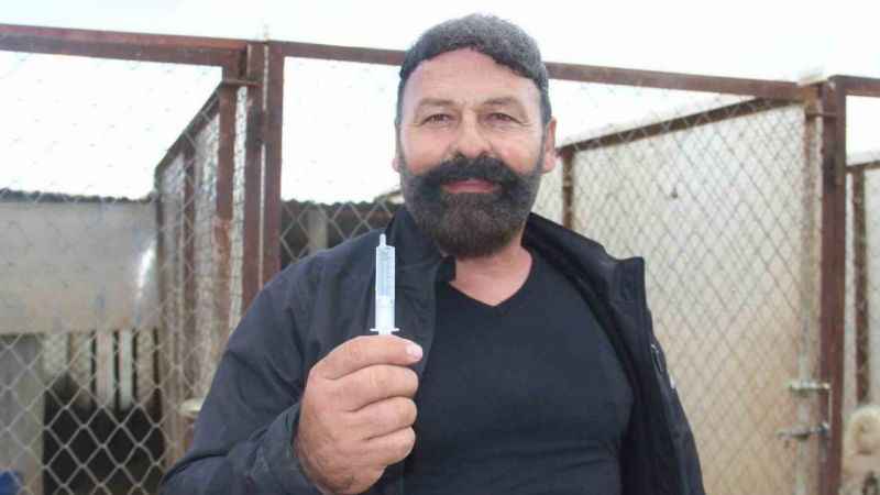 Köpeklerde yaz aylarında bu belirtilere dikkat