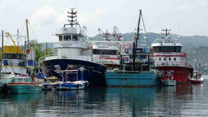 Karadenizli balıkçılar 50 gün sürecek ağ bakımlarını yapıyor