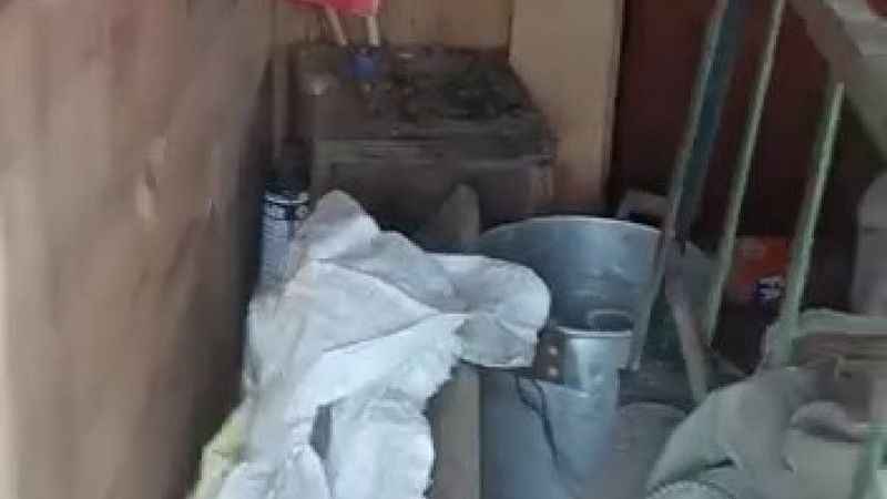 Ayılar yayla evlerini talan etti