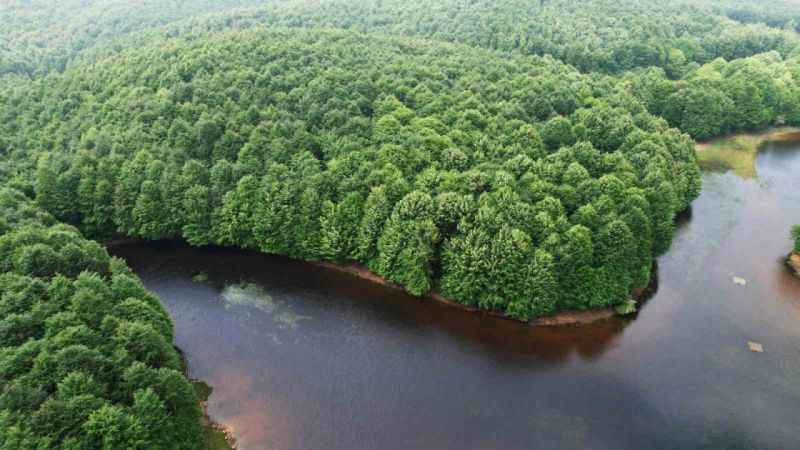Karlık Yaylası'nda görsel şölen