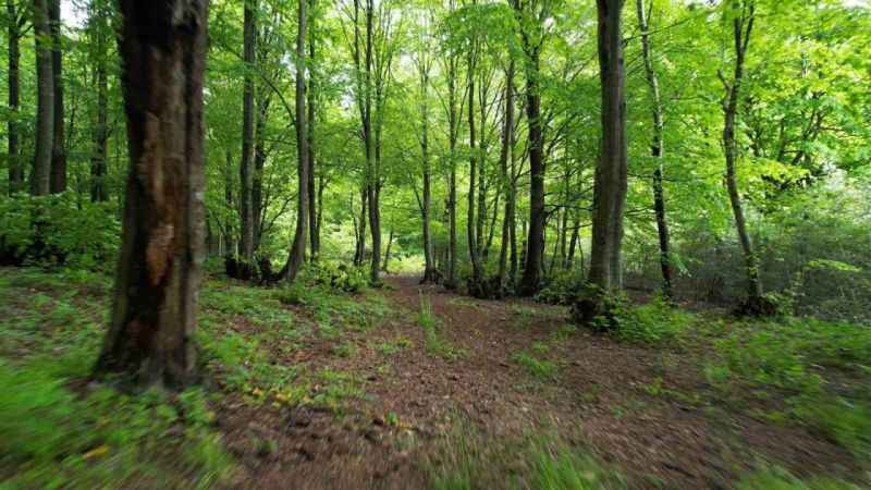 Karlık Yaylası'nda görsel şölen