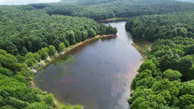 Karlık Yaylası'nda görsel şölen