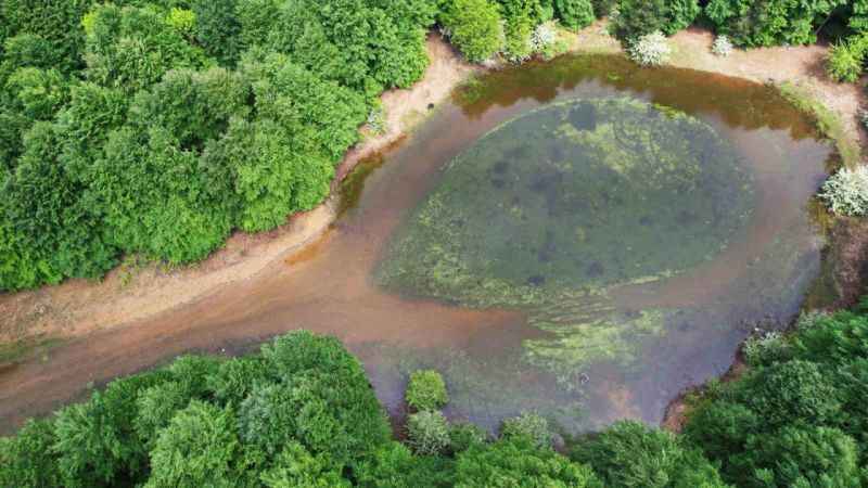 Karlık Yaylası'nda görsel şölen