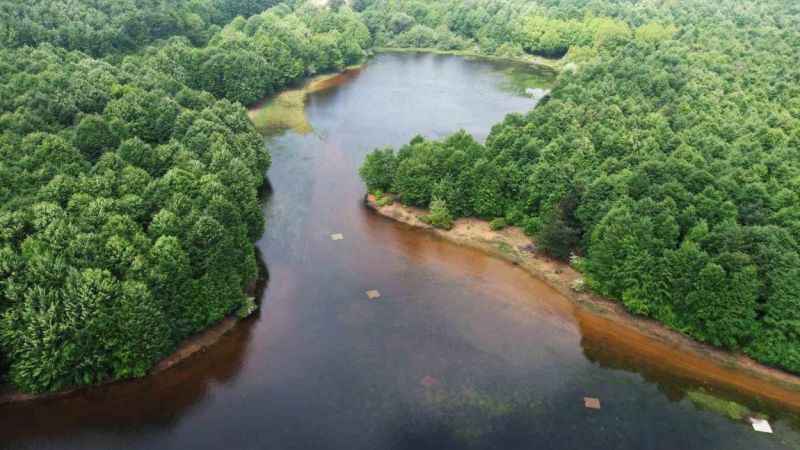Karlık Yaylası'nda görsel şölen
