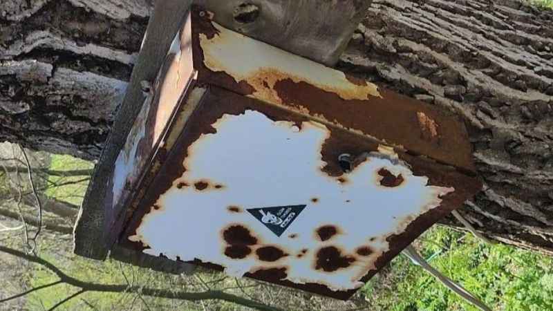  Nadir görülen yediuyur Bolu’da görüntülendi