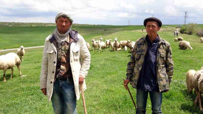 16 bin lira maaşlı işi Türkler beğenmeyince Afganlar yapıyor