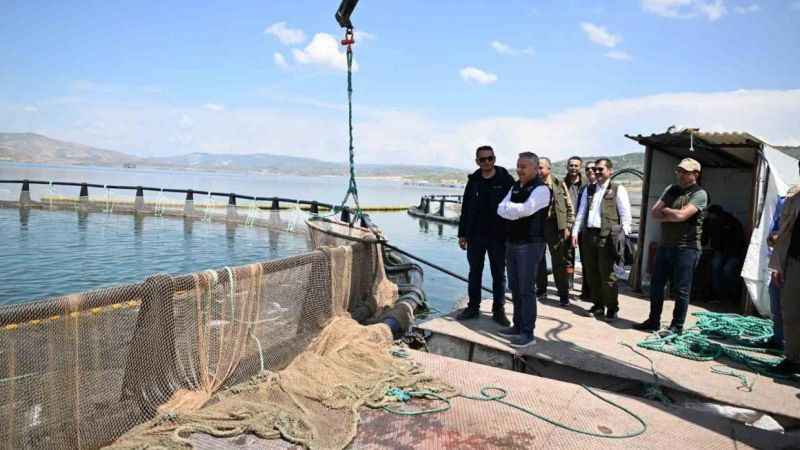 Denizi olmayan Kayseri’de somon hasadı