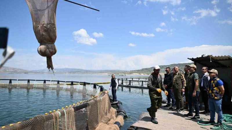 Denizi olmayan Kayseri’de somon hasadı