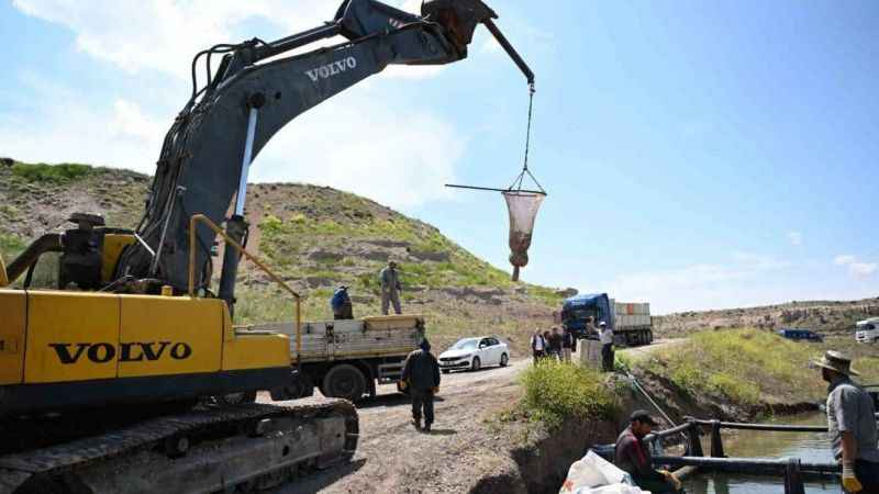 Denizi olmayan Kayseri’de somon hasadı