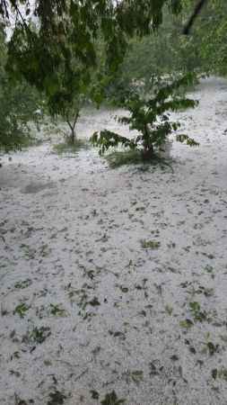 Denizli'de dolu kiraz ve kayısı bahçelerini vurdu