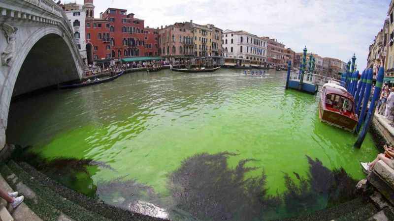 Venedik Kanalı yeşile büründü