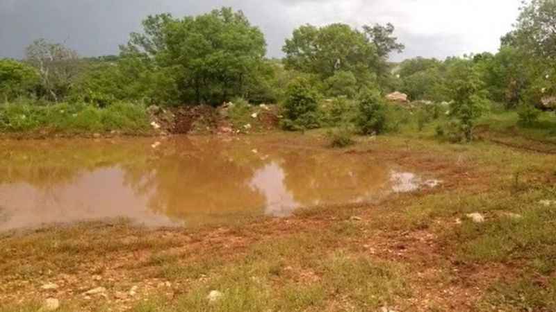 Mantara gitti kayboldu, şimdi dağ taş aranıyor