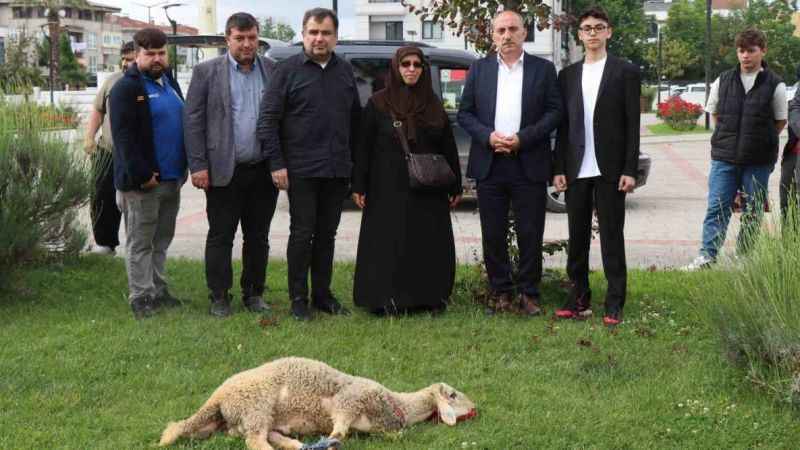 Erdoğan'ın zaferi için koç kestirdi