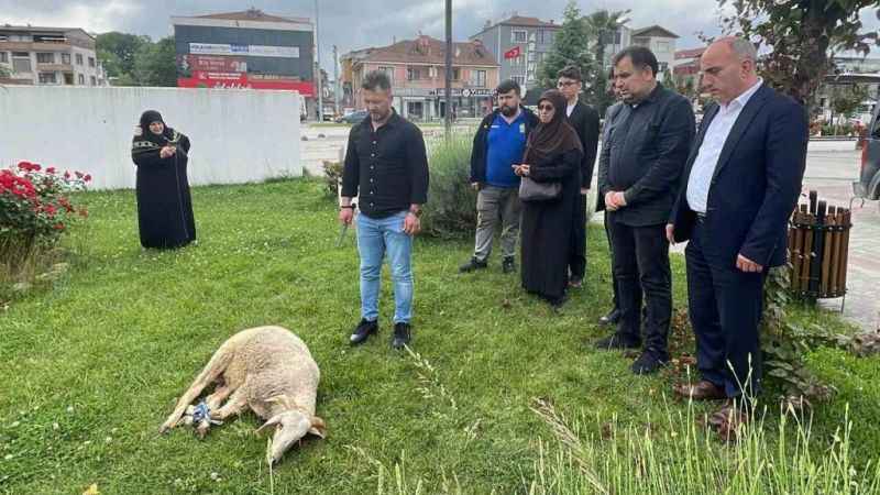 Erdoğan'ın zaferi için koç kestirdi