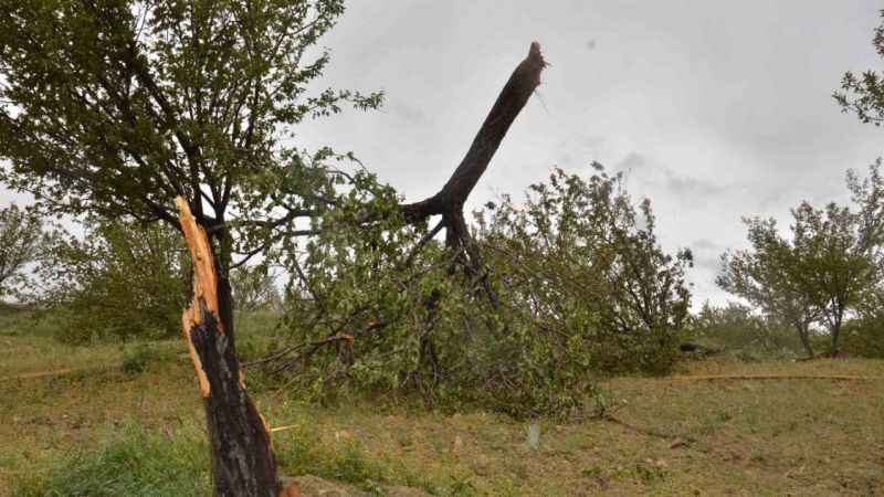 Kahramanmaraş’ta hortum yıktı geçti 
