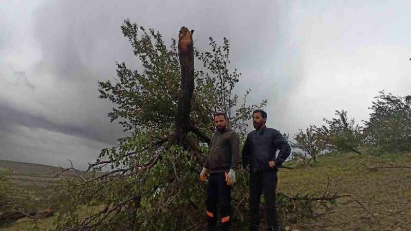 Kahramanmaraş’ta hortum yıktı geçti 
