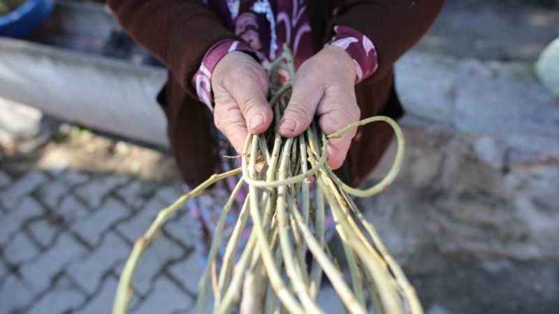 Doğal kök boya Sındırgı’da üretilecek