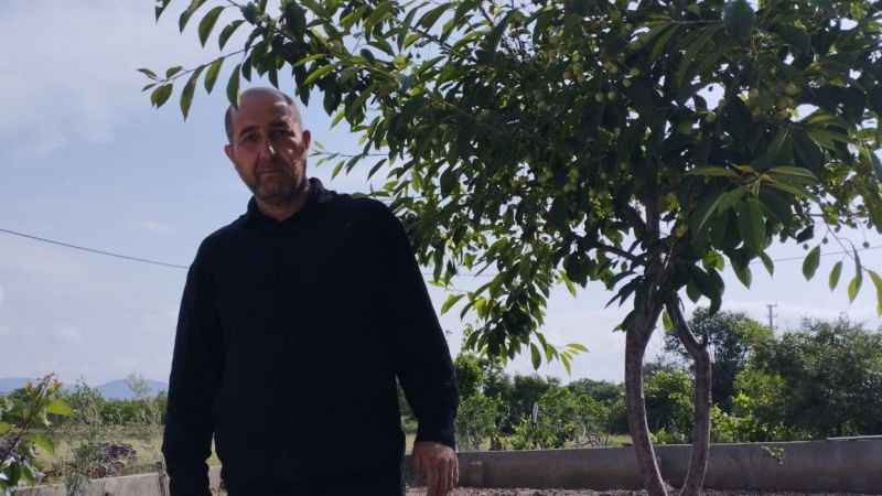 Kiraz üreticisini dolu vurdu, zarar büyük