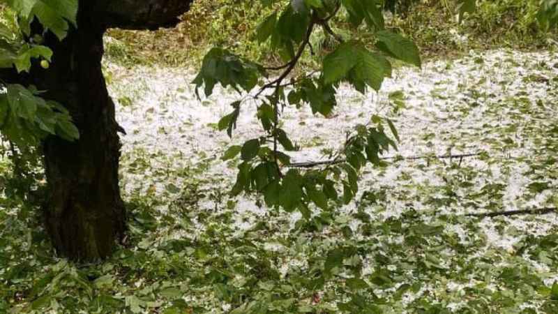 Kiraz üreticisini dolu vurdu, zarar büyük