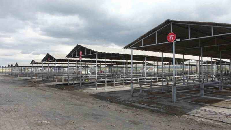 Sivas’ta tüm hayvan pazarları kapatıldı!