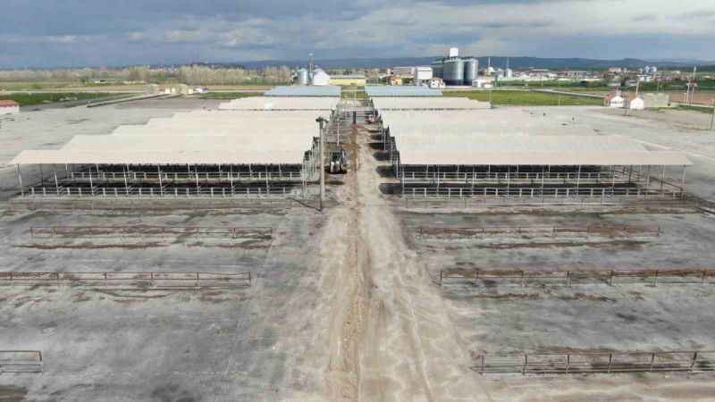 Sivas’ta tüm hayvan pazarları kapatıldı!