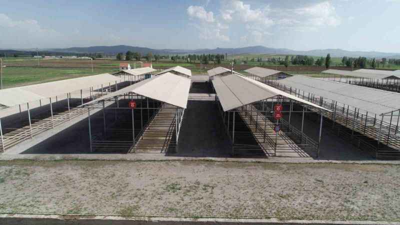 Sivas’ta tüm hayvan pazarları kapatıldı!