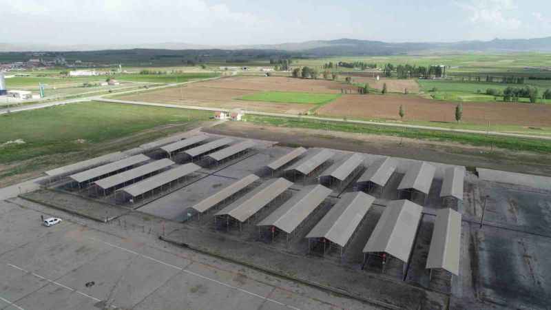 Sivas’ta tüm hayvan pazarları kapatıldı!