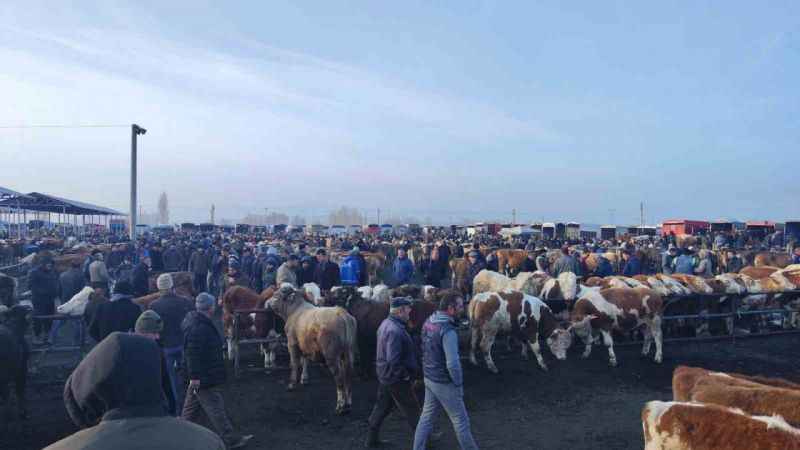Sivas’ta tüm hayvan pazarları kapatıldı!